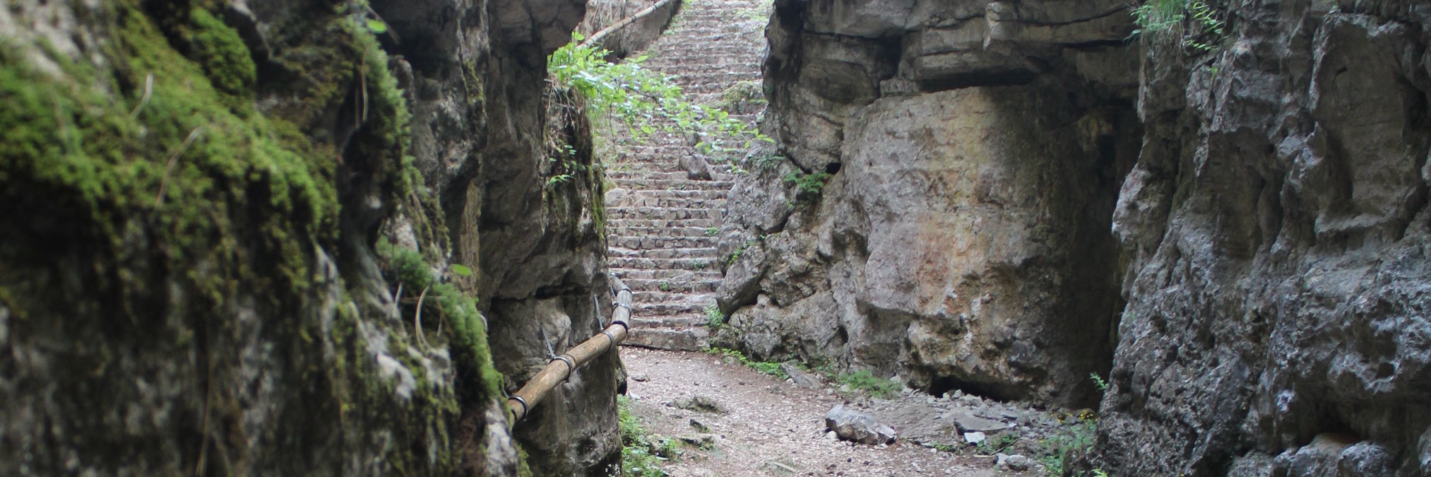 Айватовица