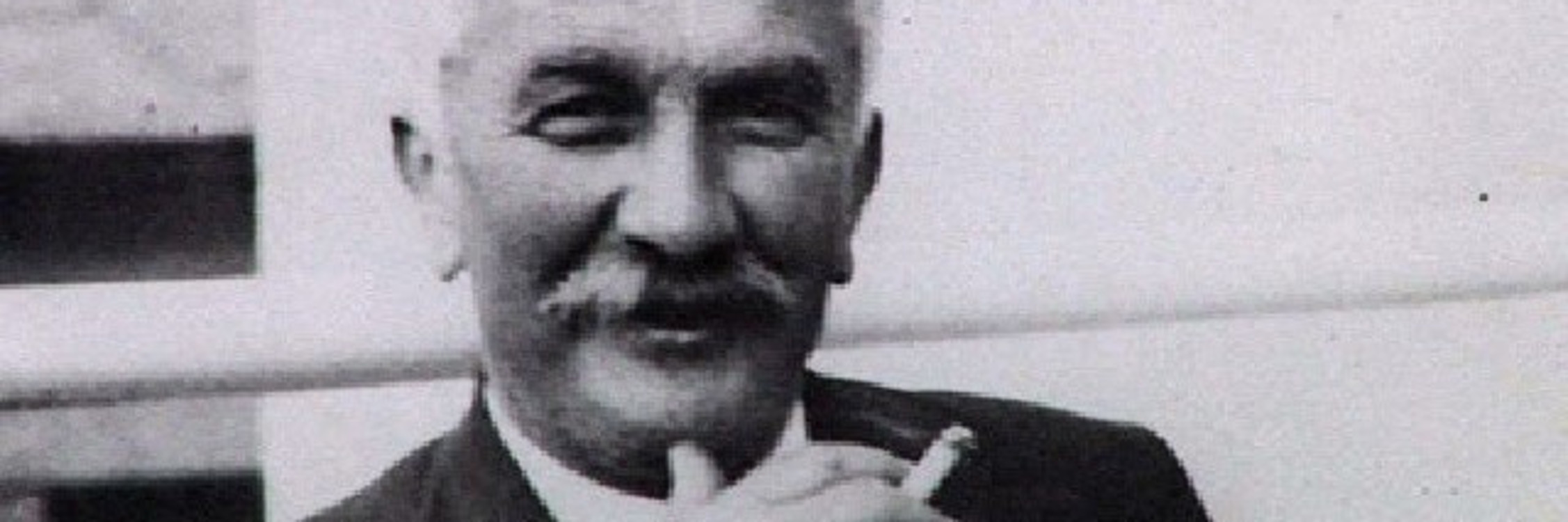 Максо Деспич